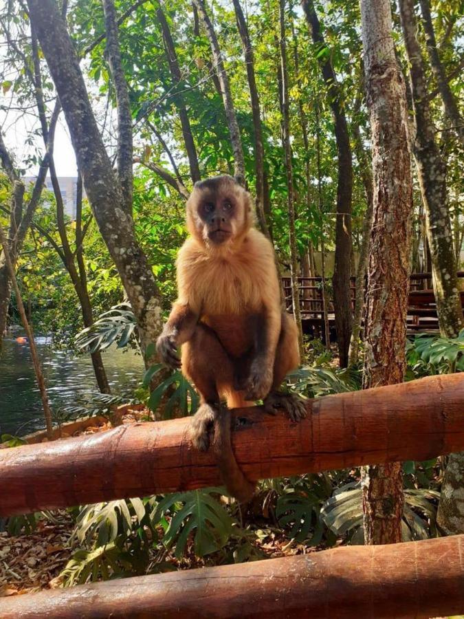 Apart No Aguas Da Serra - 115B Leilighet Rio Quente Eksteriør bilde